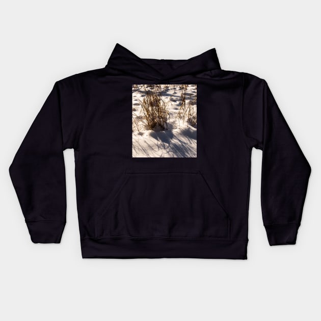 Snow covered grasses Kids Hoodie by CanadianWild418